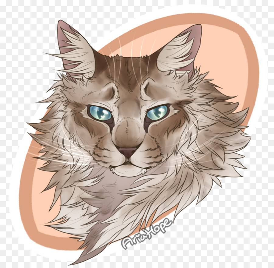 Wildcat Zeichnung Kätzchen Schnurrhaare - Spatz