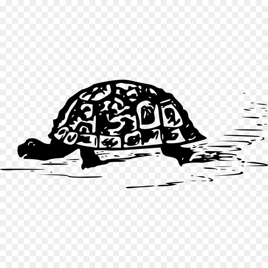 Rùa biển Rùa Bò sát Clip nghệ thuật - rùa