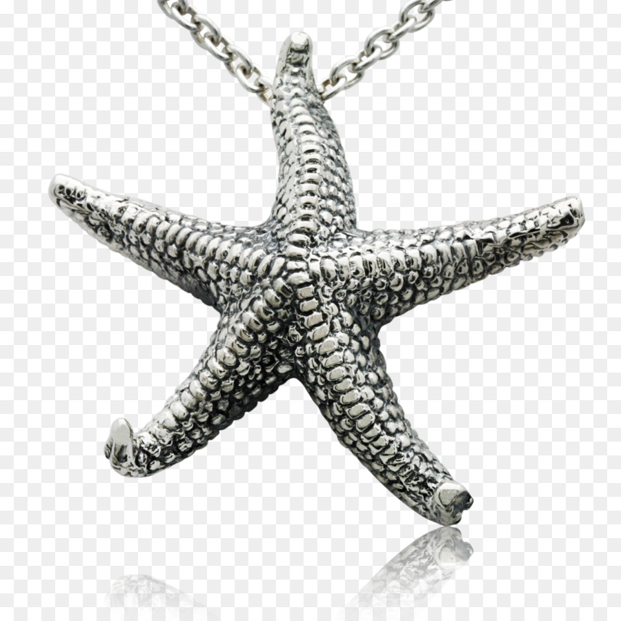 Gioielli Invertebrati Starfish Charms E Pendenti In Argento - oceano stellato