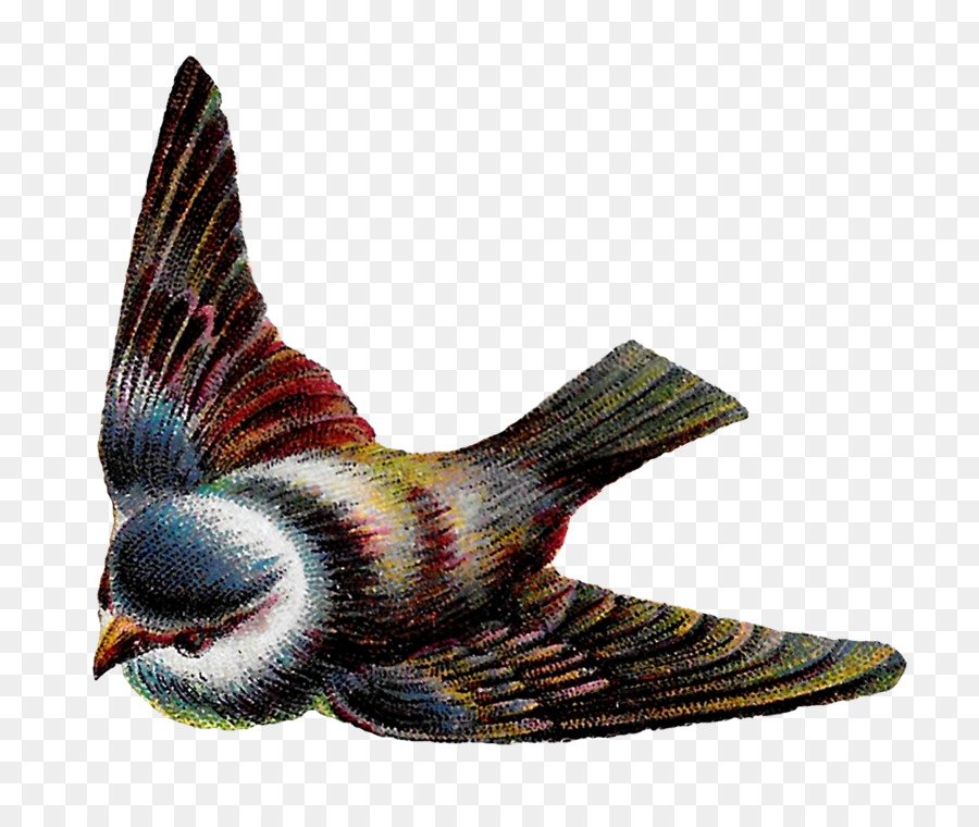 Tổ chim Bay Lông Clip nghệ thuật - chim bay