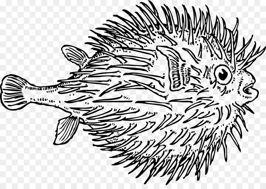 Kugelfisch Zeichnung Clip art - Fisch