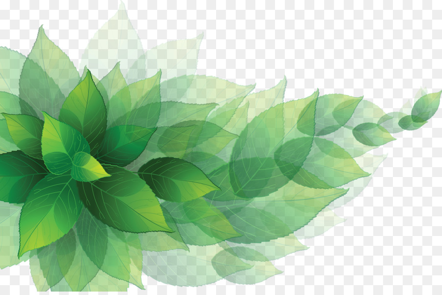 foglia - foglie verdi