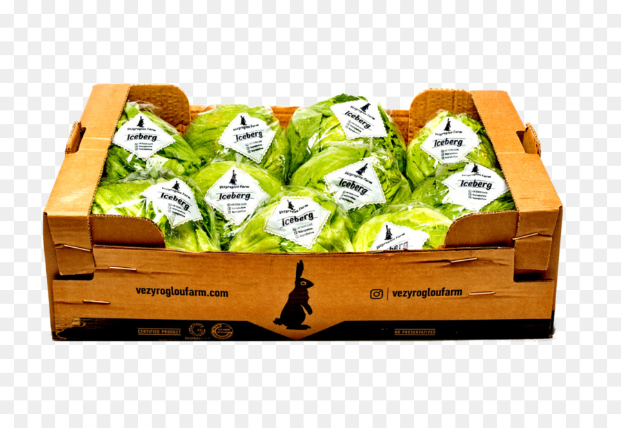 Kopfsalat Red leaf lettuce Salat, Blatt-Gemüse - Eisberg