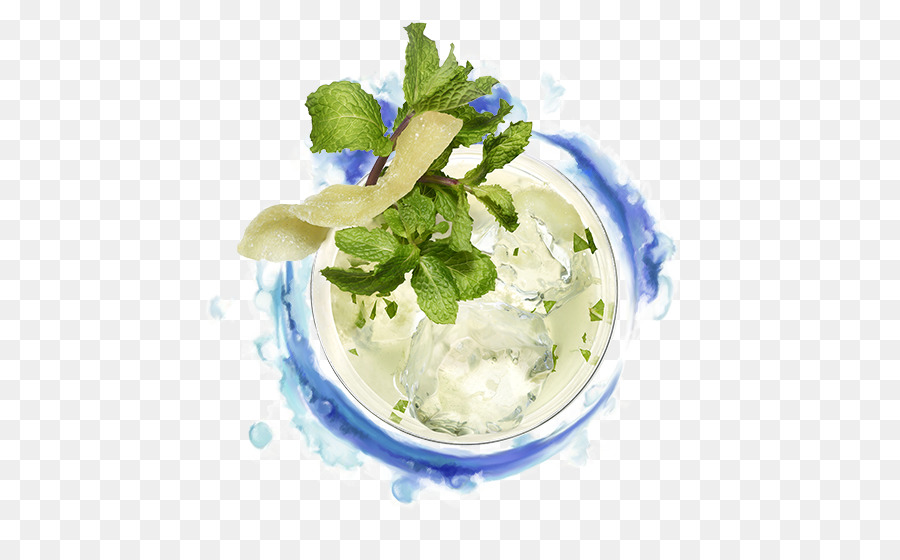 Mojito Mint julep Cocktail guarnire Salty dog - Mojito