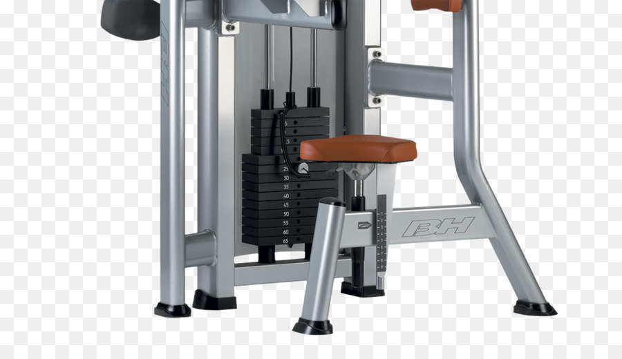 Fitnesscenter Heimtrainer Fitnessgeräte Trizeps brachii Muskel-Gewicht Platte - horizontale Linie