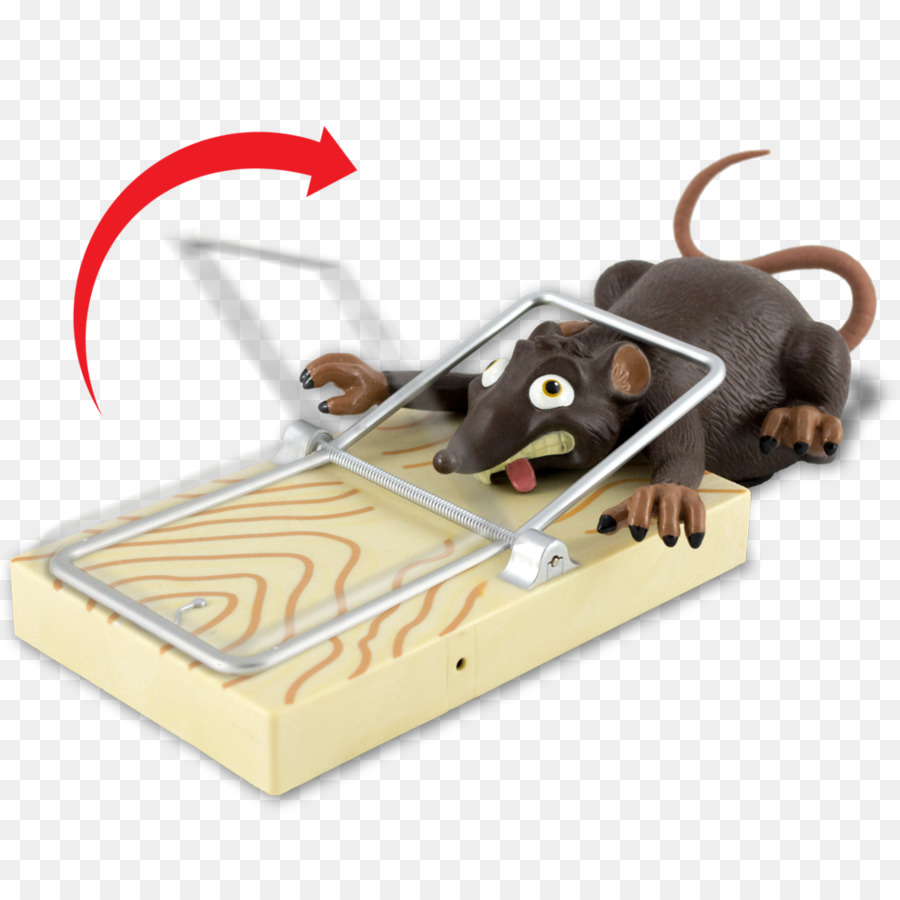 Ratte, Mausefalle Nagetier Trapping - Ratte & Maus