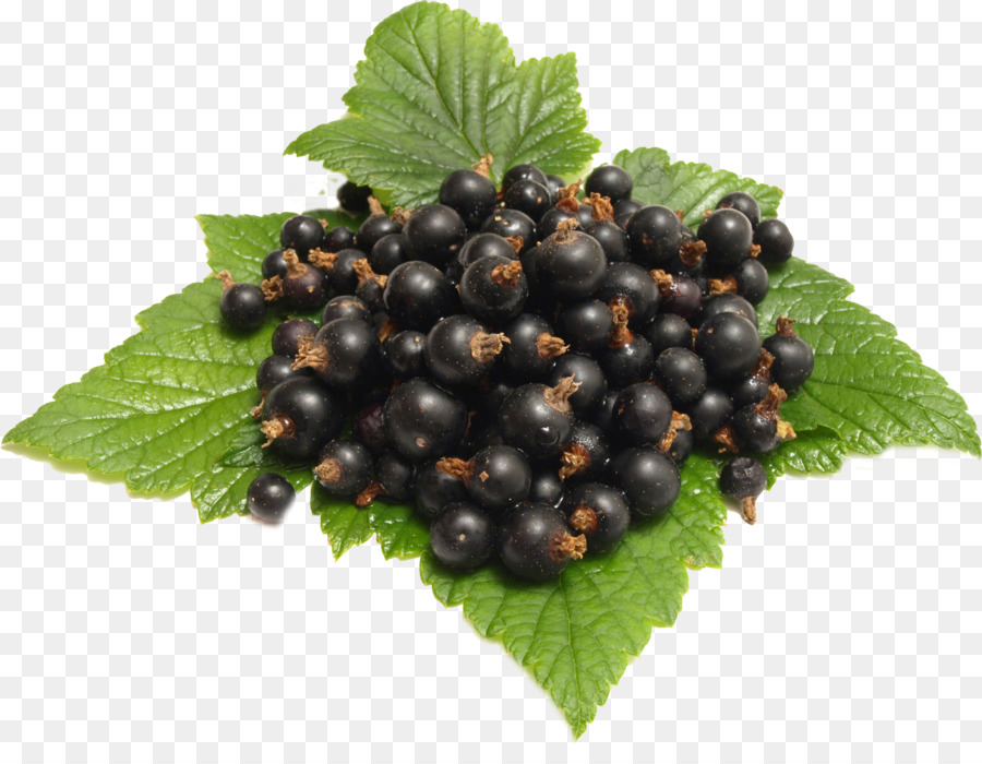 Rote Johannisbeeren schwarze Johannisbeeren Frucht-Energy-drink Berry - Heidelbeeren