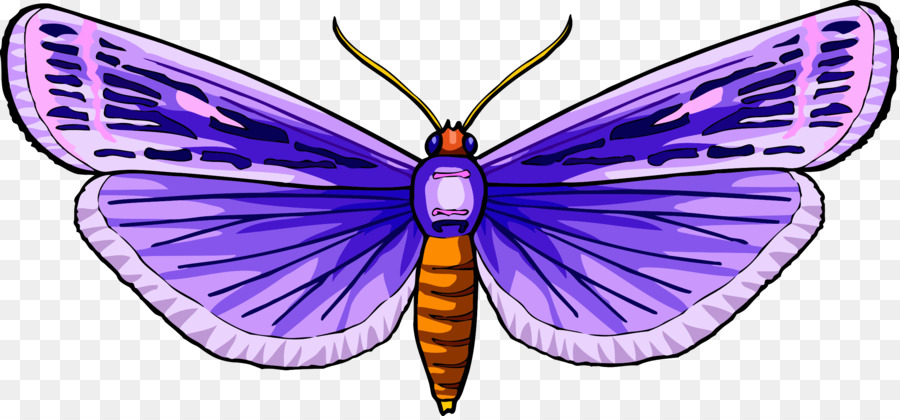 Schmetterling Computer Icons Clip art - Insekt