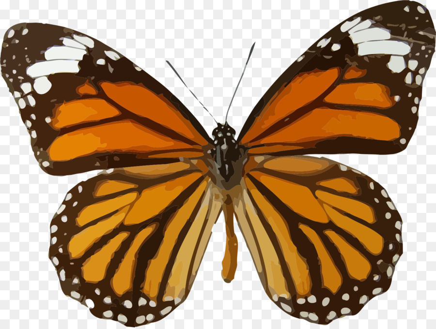 Monarch-Schmetterling Insekt Danaos genutia Clip-art - blauer Schmetterling