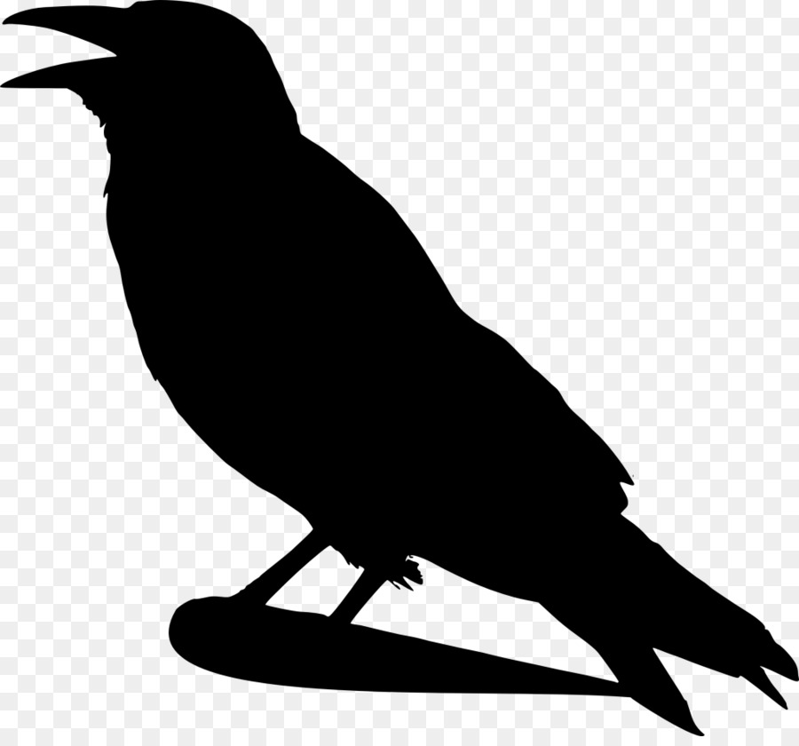 American crow Raven Clip art - Nymphensittiche