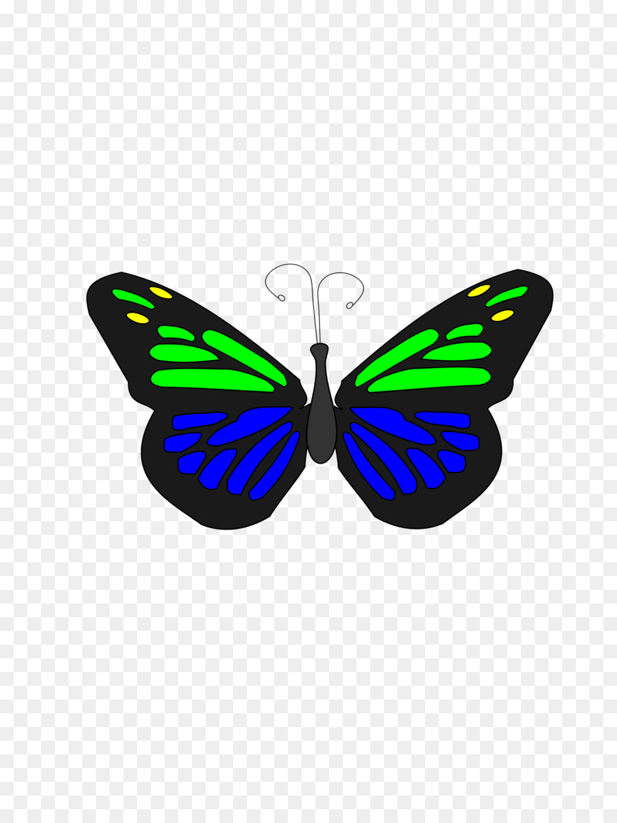 Farfalla Icone Di Computer Animation - farfalla