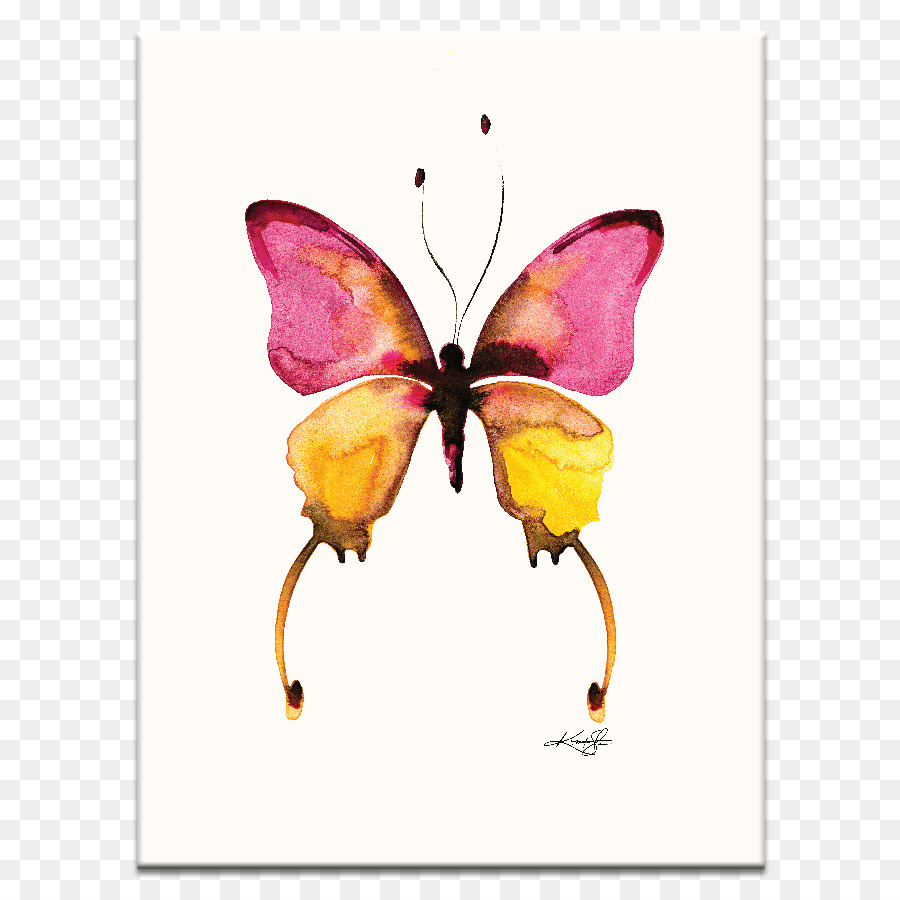 Farfalla, Acquerello, pittura su Tela d'Arte - farfalla, acquerello