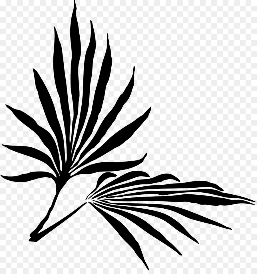 Ramo di palma di Fronde Arecaceae Clip art - data di palm
