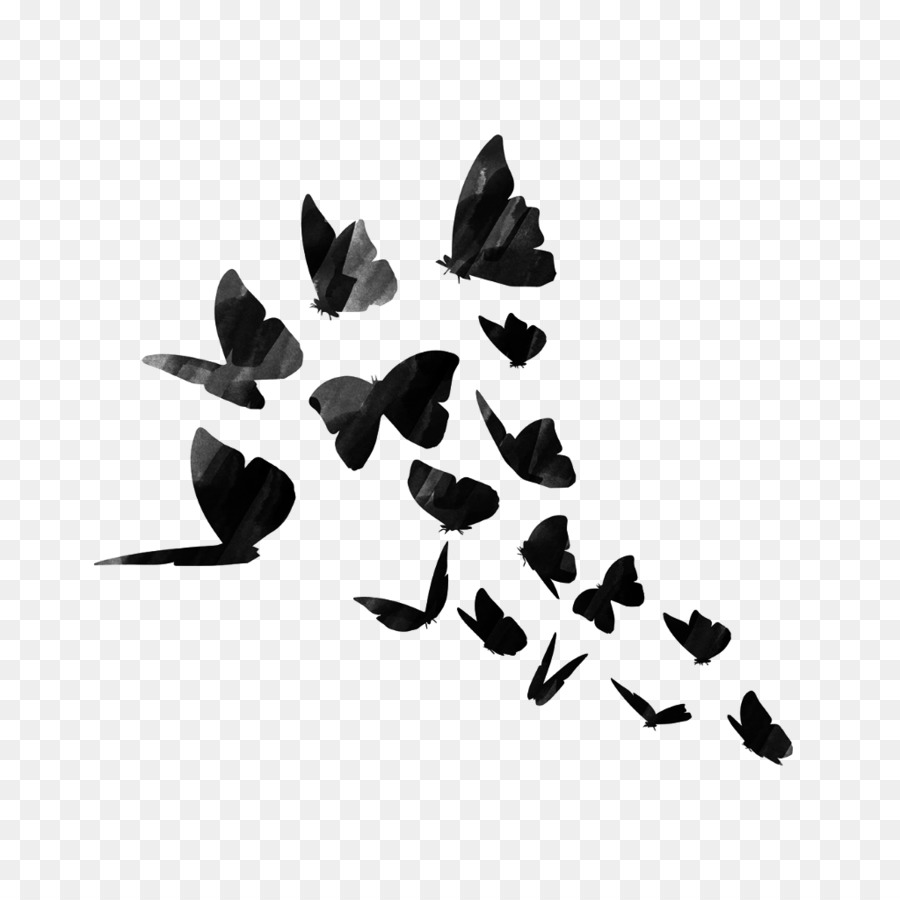 Butterfly Black And White Png Download 1024 1024 Free