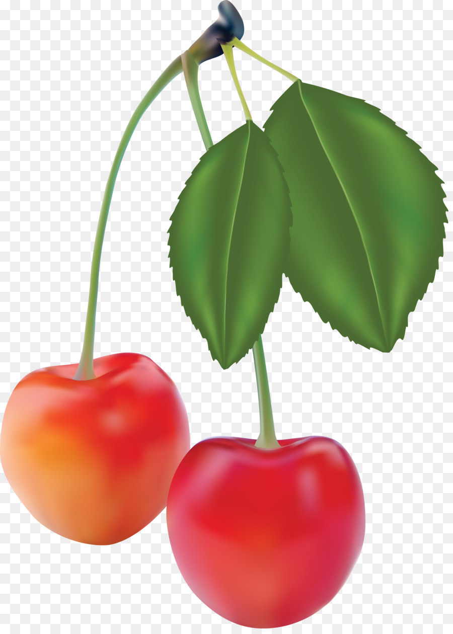 Trái Cây Đóng Gói Tái Bút Chủ Nghĩa Hiện Thực - cà chua