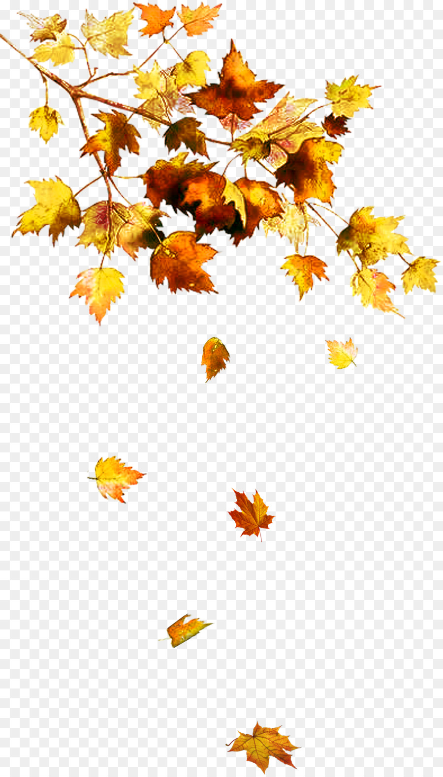 Autunno colore foglia foglia d'Autunno Albero a colori Chanson d'automne - foglia texture