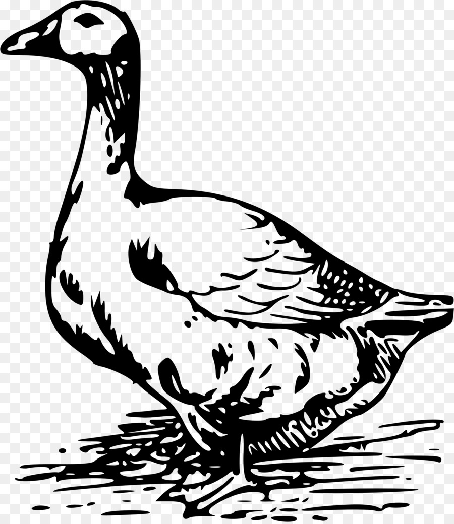Goose Clip nghệ thuật - con vịt
