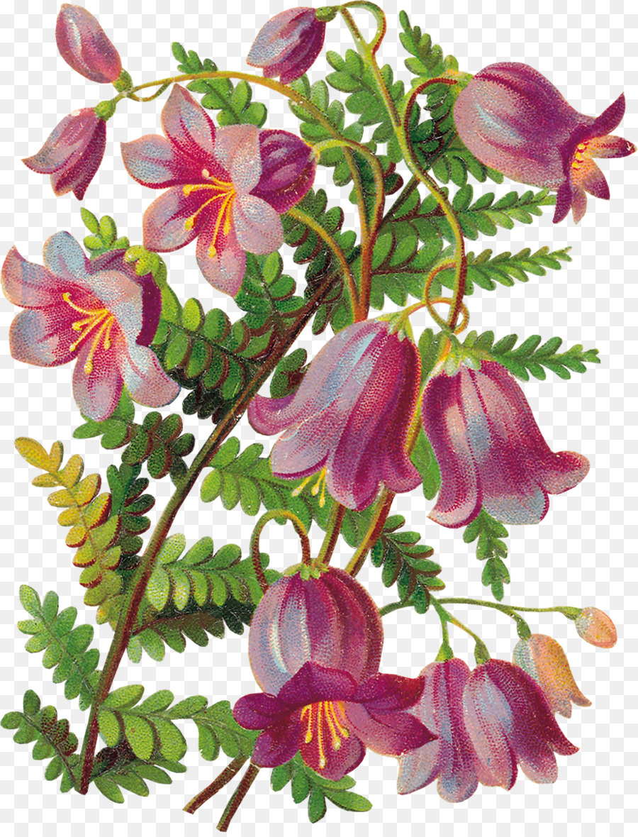 Decoupage Blume Glockenspiel Clip-art - Blumen