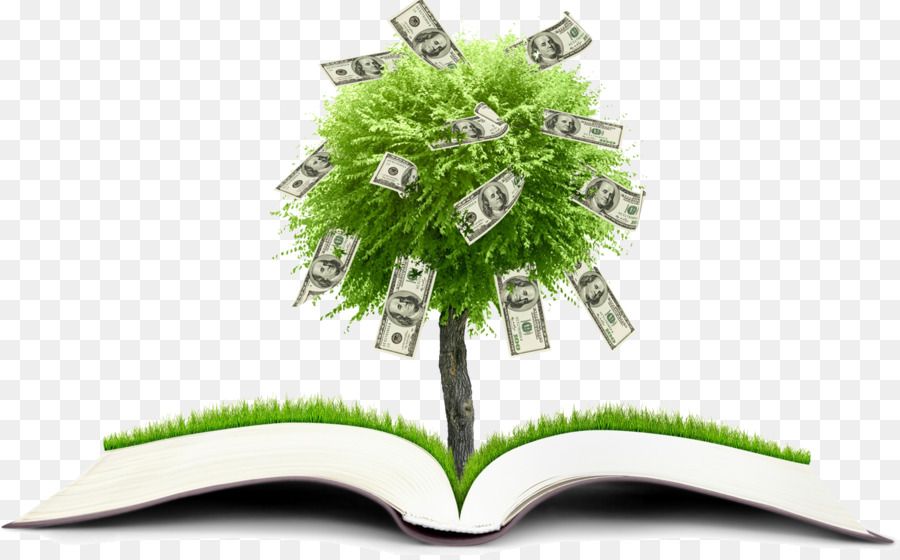 Financial literacy Persönliche Finanz-Finanz-plan Bildung - offenes Buch