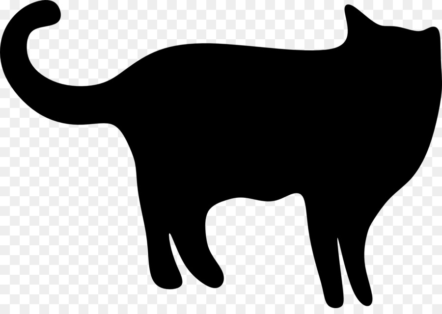 La Sagoma Del Gatto Fotografia - gatto nero