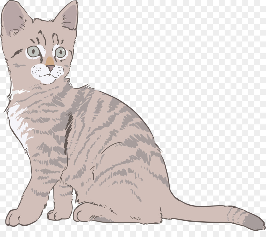 Kätzchen Sphynx-Katze Zeichnen-Clip-art - Kätzchen