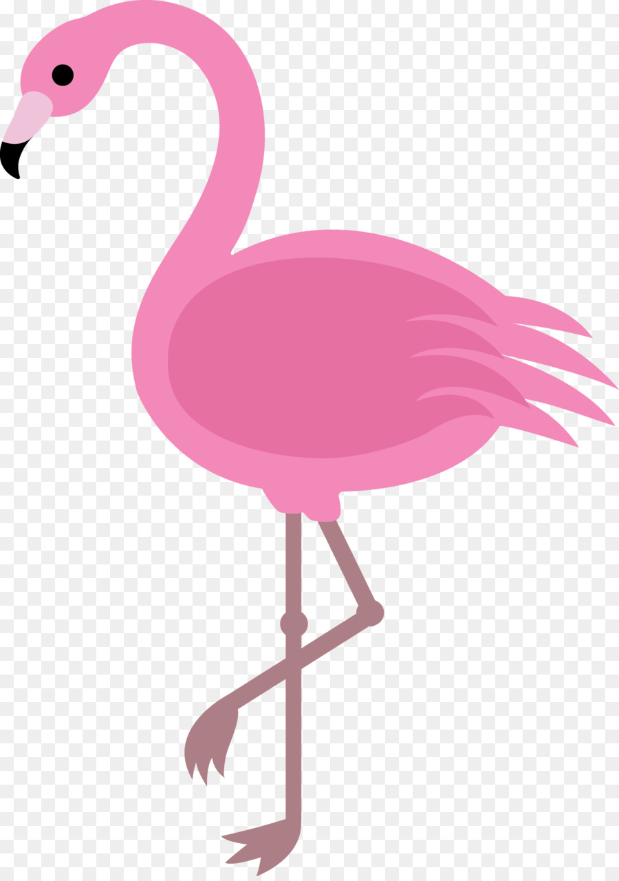 Flamingo Zeichnung Clip art - Vogel Cartoon