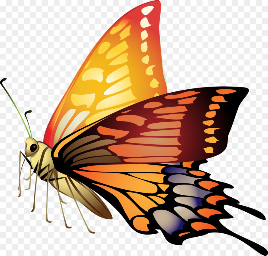 Farfalla Materiale Clip art - farfalle