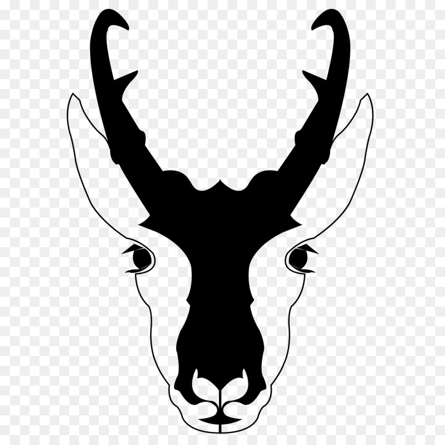 Pronghorn Deer Antilope Clip-art - Antilope