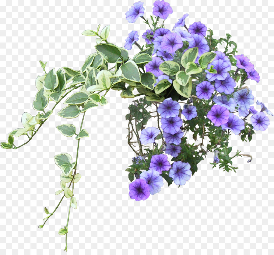 Leder Blume Violett Vine - Gebüsch