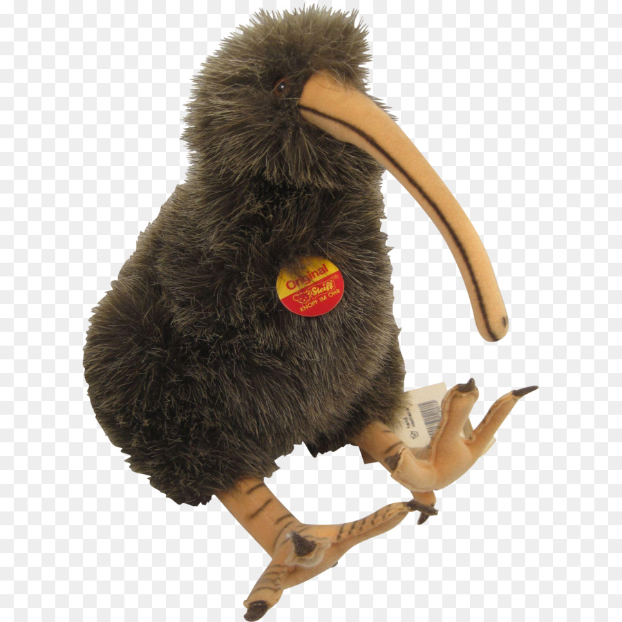 Becco Di Animali Da Pelliccia - kiwi uccello
