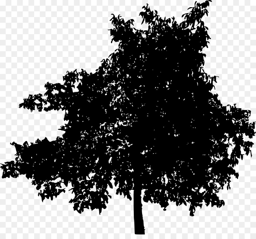 Albero di piante Legnose Clip art - albero trasparente
