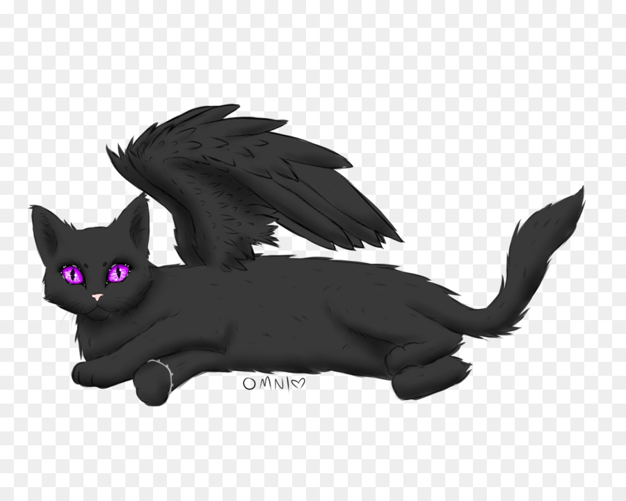 Gatto Gattino Baffi Mammifero Carnivora - gatto nero