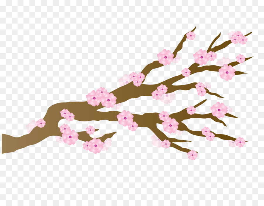 Hoa anh đào Nhật bản - Nhật bản