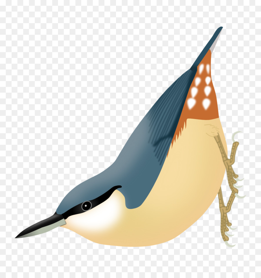 Uccello Eurasiatica, il picchio muratore Kashmir, il picchio muratore di Passeracei - pastelli png