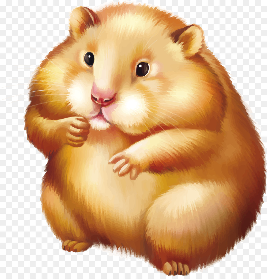 Golden hamster Gerbil Mouse Stock-Fotografie - Ratte