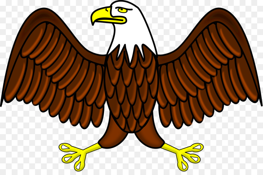 Bald Eagle clipart - die Türkei Vogel