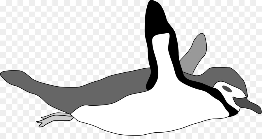 Pinguino Nuoto Clip art - pinguini
