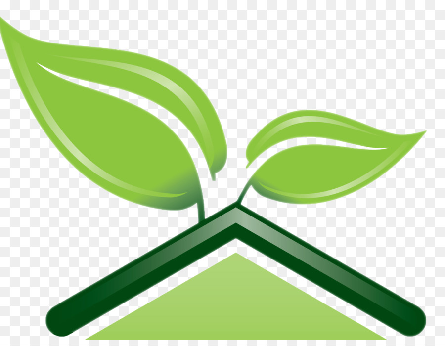 Green building Materiali da Costruzione Ecologici per la casa Verde - 