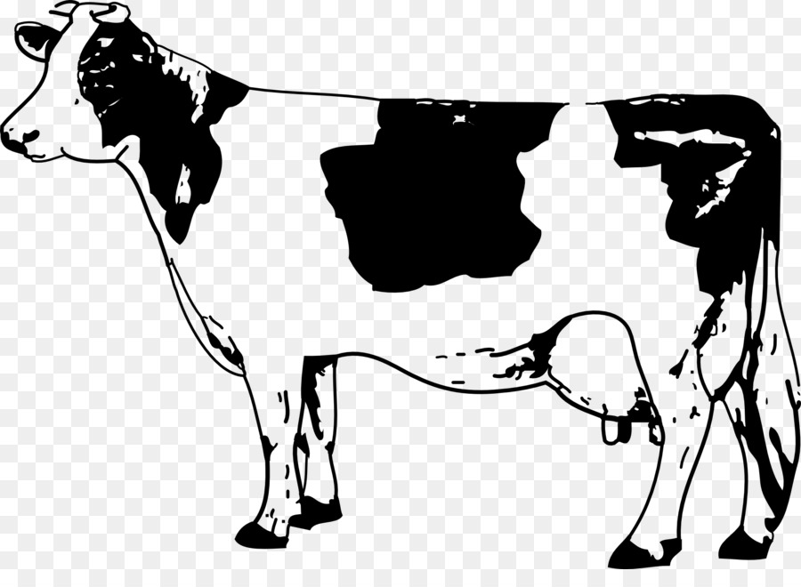 Texas Longhorn Jersey Rinder Zeichnung Clip art - Kuh