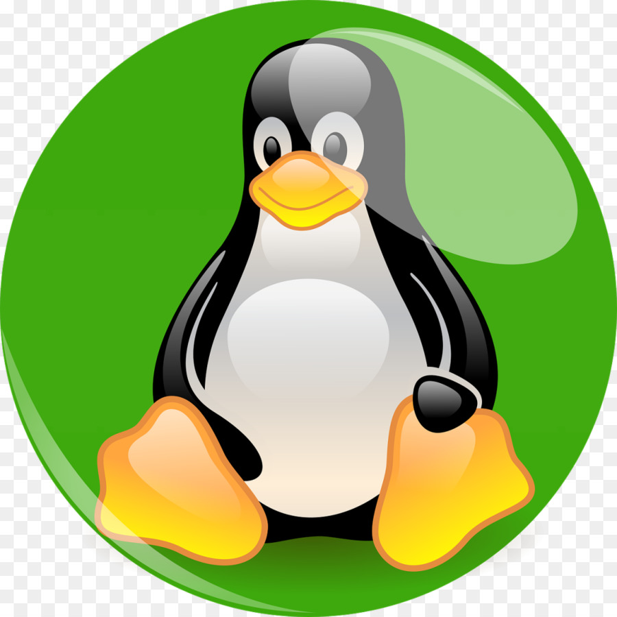 Linux From Scratch-Linux-distribution Red Hat Enterprise Linux Installation - smoking