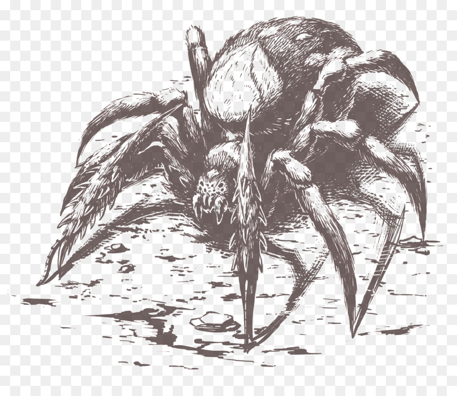 Trụ cột của sự Vĩnh cửu Nhện Vẽ YouTube Sắc - con nhện