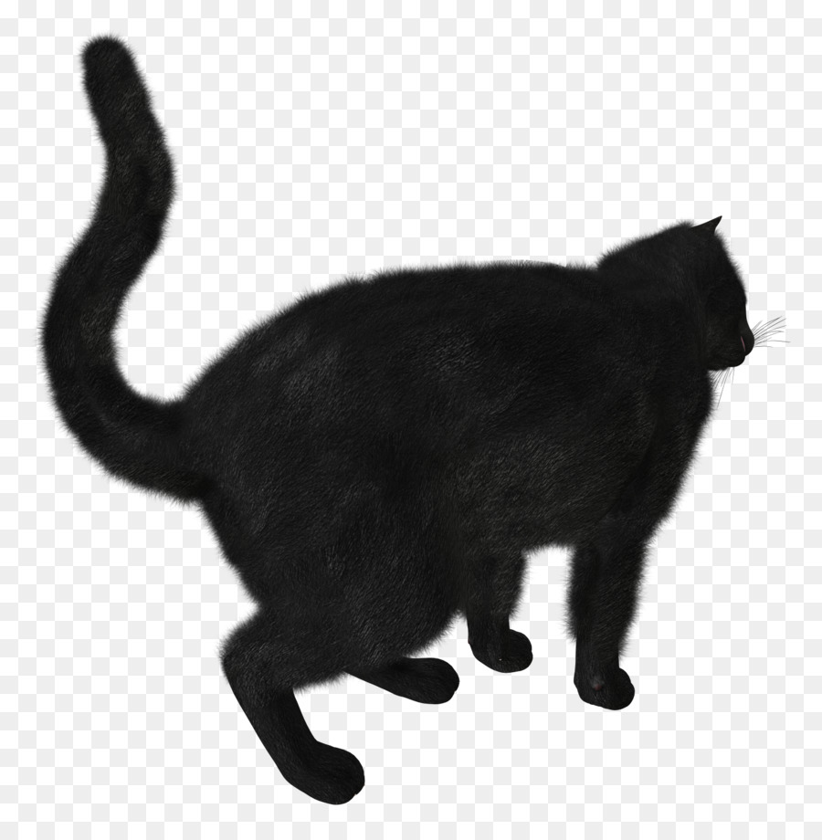 Schwarze Katze Kätzchen Clip art - Katzen