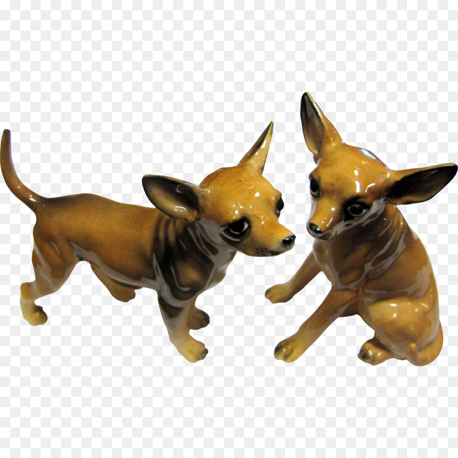 Chihuahua Cane di razza Giocattolo cane Sale Muso - chihuahua