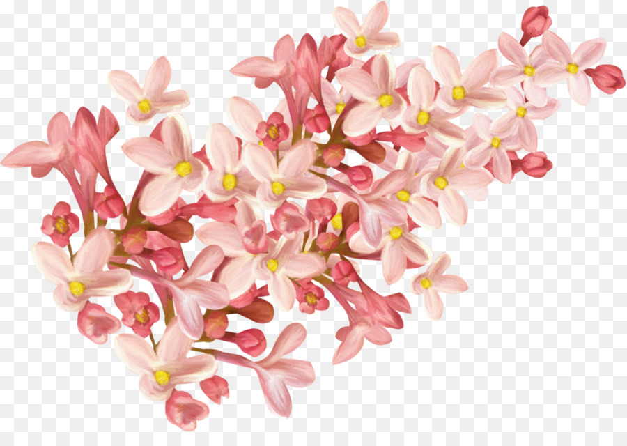 Blume, Rosa, Clip art - Vanille