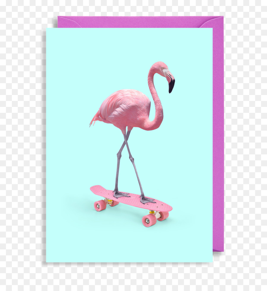 Poster Skateboard Kunstwerk - Flamingo