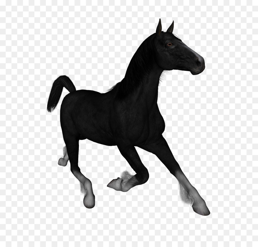 Mustang con Ngựa Ngựa Mare Clip nghệ thuật - kỵ sĩ không đầu
