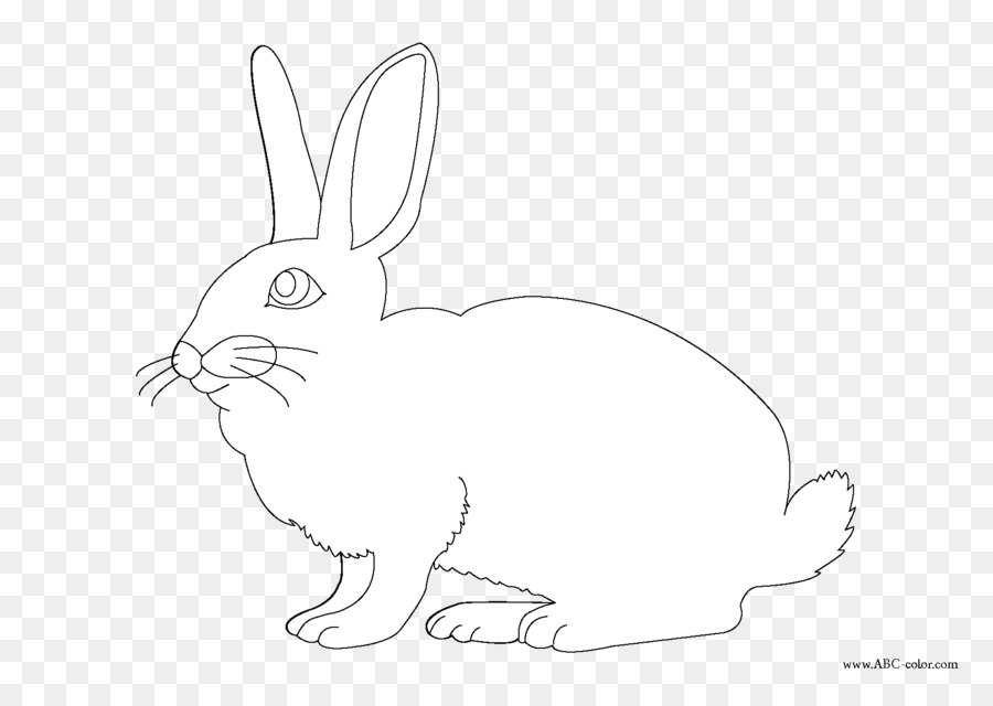 Coniglio Lepre Coniglietto di Pasqua da Colorare - Peter Coniglio