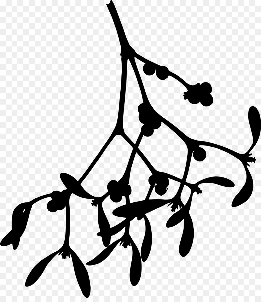 Cây tầm gửi Vẽ Phoradendron tomentosum Clip nghệ thuật - Ống khói