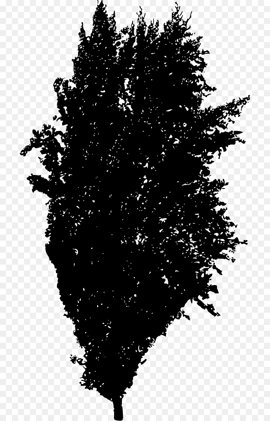 Baum-Silhouette-Fichten-Gehölz-Tanne - Baum silhouette
