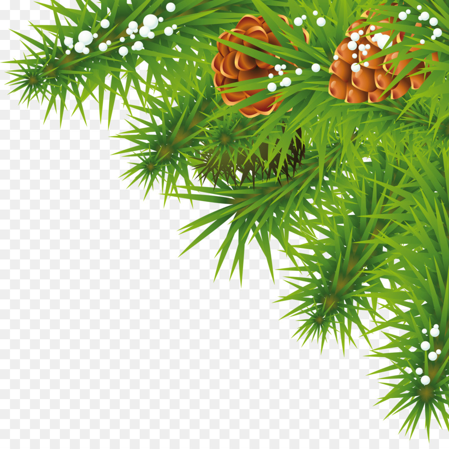 Ornamento di natale decorazione di Natale Clip art - albero di cocco